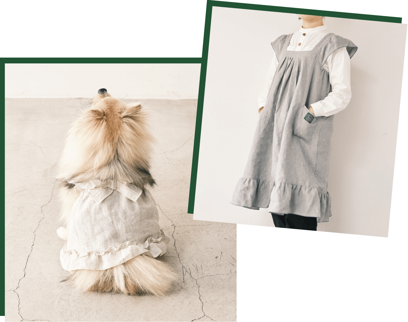 フレンドリードレス