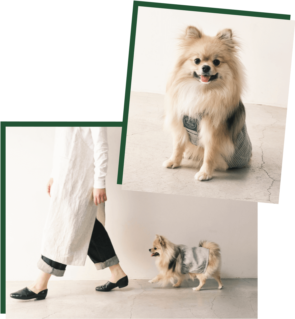 フレンドリーエプロン