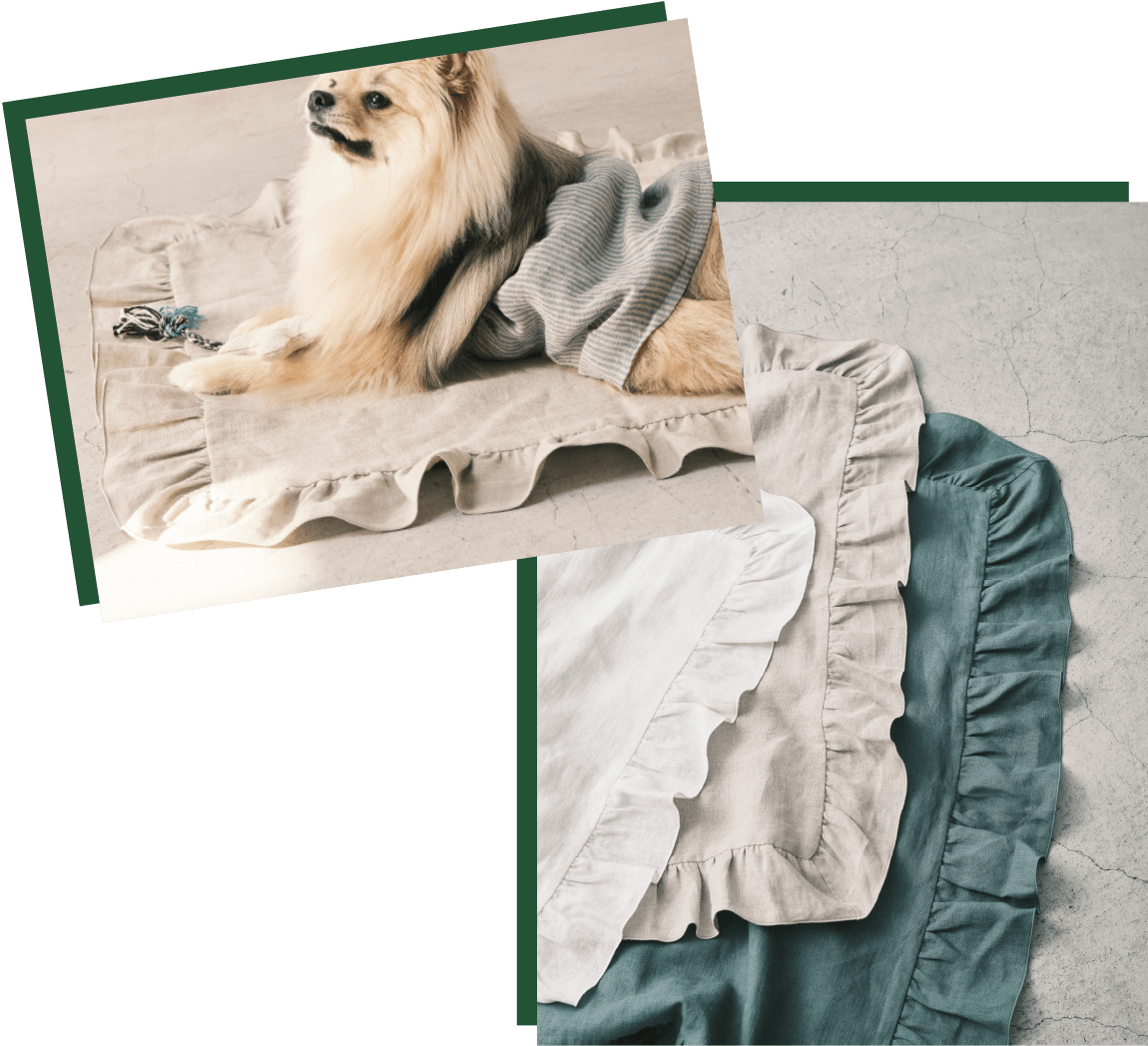 フレンドリーエプロン